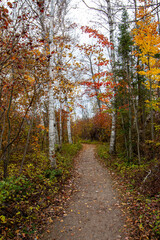 MacGregor Point Provincial Park in Fall