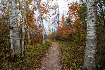 MacGregor Point Provincial Park in Fall