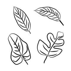 Vector Set of different fresh tropical leaves on white background