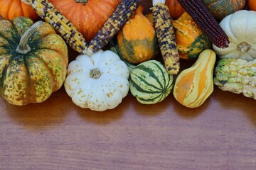 Colorful arrangement of assorted pumpkins, gourds, and ornamental corn on wood background with copy space.