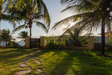 Obraz premium Por do sol refletindo no gramado com coqueiros ao fundo