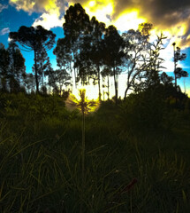 sunset in the mountains