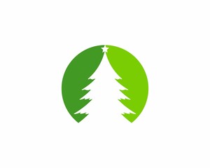 Pines tree silhouette in the circle logo