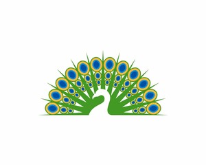Beauty peacock vector illustration logo
