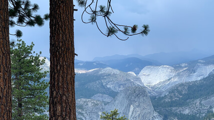 Dramatic Glacier Point Vista Framed by Pine Trunks and Branches