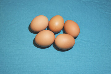 Eggs: Brown Egg Isolated on ฺBlue cerulean Background.