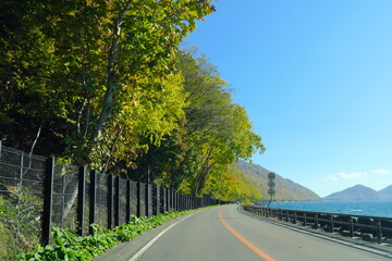 支笏湖に続く道の美しい紅葉
