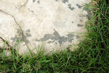 stone wall background