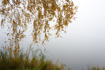 The fog is so thick on the river that you can't see the opposite bank