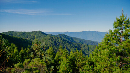 Fototapeta na wymiar Bosques y montañas de hermosos colores verdes acompañado con el cielo azul.