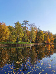 Fototapeta na wymiar Autumn in the park. Trees with bright, falling leaves grow on the shore of the pond and are reflected in its water.