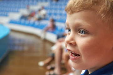 Happy blue-eyed boy watching the performance in dolphinarium in half empty auditorium