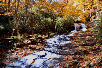 秋のあだたら渓谷（福島県・二本松市）