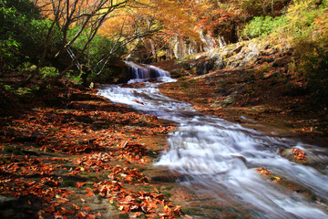 秋のあだたら渓谷（福島県・二本松市）