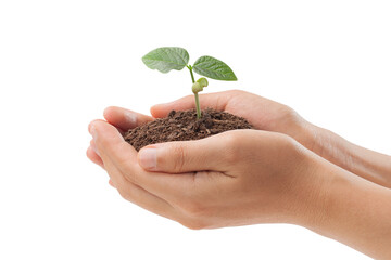 hands holding sprout and soil on white background.