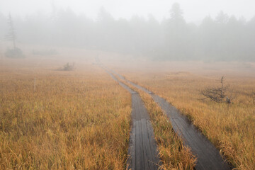 霧に包まれた山の道