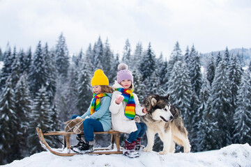 Funny boy and girl having fun with a sleigh in winter. Cute children playing in a snow with husky dog. Winter activities for kids.