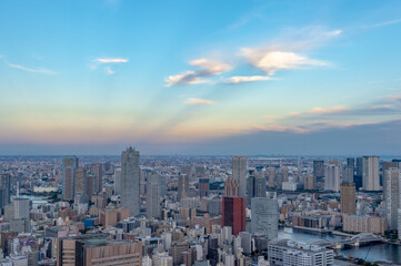 東京都港区汐留から見た東京の都市景観