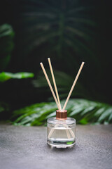 Fototapeta na wymiar Aroma reed diffuser, home fragrance bottle with rattan sticks and smell of freshness on dark background with green palm leaves