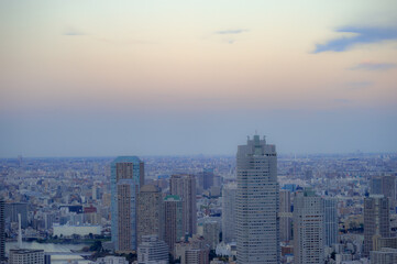Fototapeta na wymiar 東京都港区汐留から見た東京の都市景観