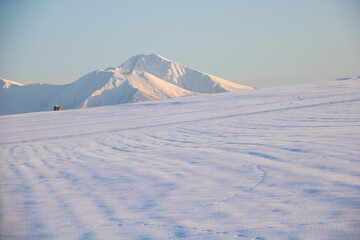 雪原に続く野生動物の足跡と雪山
