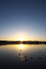 水辺に映る夜明けの表情