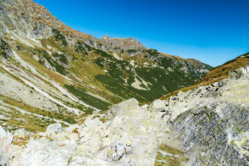 Siroka and stit nad Zelenym mountain peaks from Javorova dolina valley in Vysoke Tatry mountains in Slovakia © honza28683