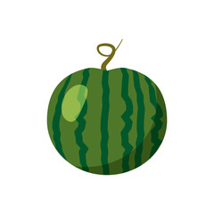 Watermelon whole and fresh summer fruit. Tasty tropical sweet food. Vector illustration cartoon