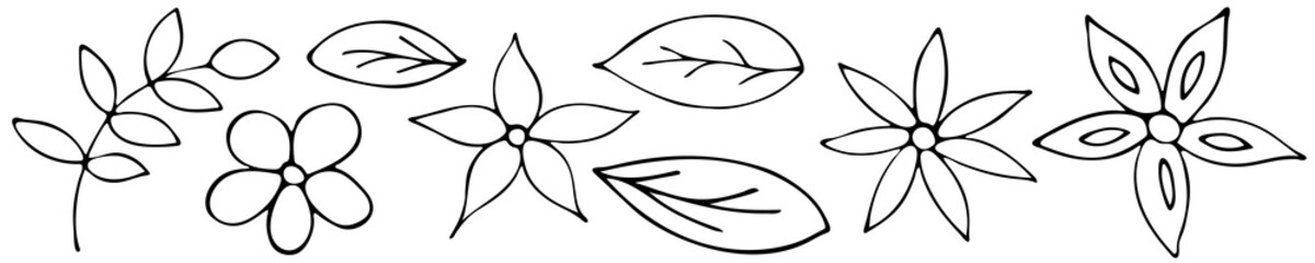Fototapeta na wymiar Black and White Hand Drawn Set of Doodle Flowers.