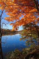 Fototapeta premium 秋の観音沼森林公園（南会津・下郷町）