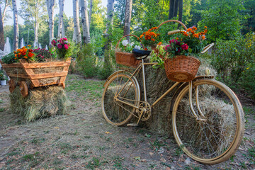 Fototapeta na wymiar bicycle and cart with flowers in the city central park