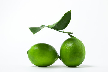 Lime isolated on white background. Sour fruit. Citrus fruit