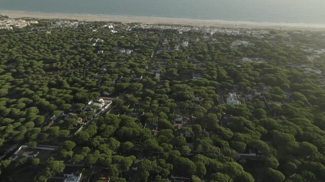 Aerial view of La Barrosa (Chiclana de la Frontera) a beautiful Village of Andalusia Spain in Cadiz
