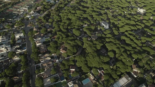 Aerial view of La Barrosa (Chiclana de la Frontera) a beautiful Village of Andalusia Spain in Cadiz
