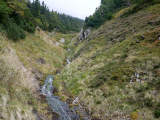 Mountain river in the Giant Mountains in the Czech Republic