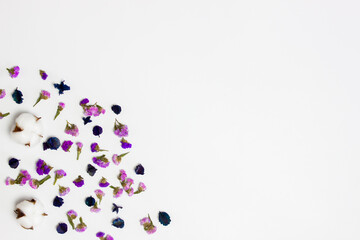 Purple flower leaves on white background