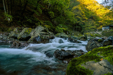 Naklejka na ściany i meble Slow shutter image of the cascading Tama river flowing over boulders in the Okutama forest in Japan. beautiful river and autumnal trees in the background