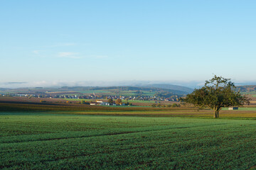 Fototapeta na wymiar Röllbach in Herbstlicher Landschaft
