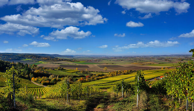 Blick auf Frankens Weinberge im Herbst
