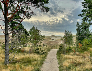 Weg durch das Naturschutzgebiet Nagliai. Kurische Nehrung, Litauen