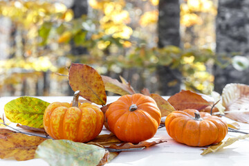 Autumn landscape in background with pumpkins and autumn leaves on white table