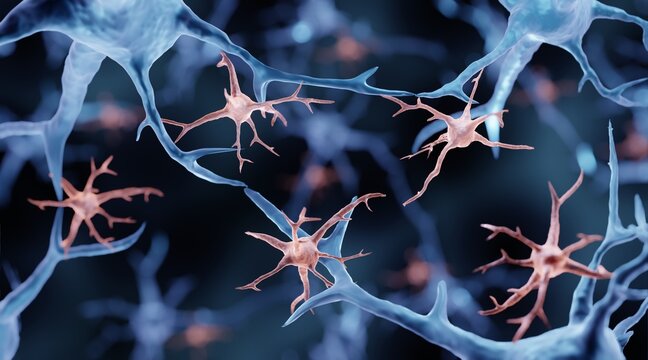 Microglia are immune cells in the brain