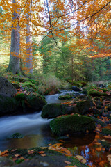Weisser Main im Herbst, Ochsenkopf, Oberfranken
