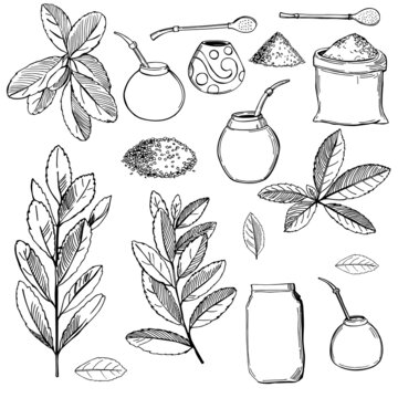 Sketch yerba mate set.