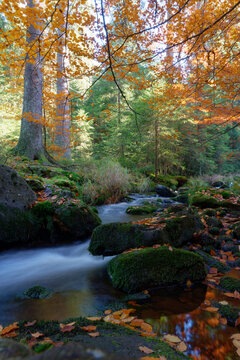 Weisser Main im Herbst, Ochsenkopf, Oberfranken