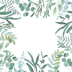 Seamless greenery frame. Spring border with eucalyptus branch and leaves. Vintage botanical plant © natikka