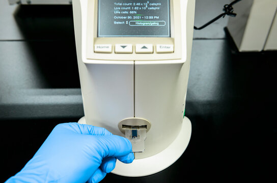 Counting cell concentration by automatic cell counter in laboratory