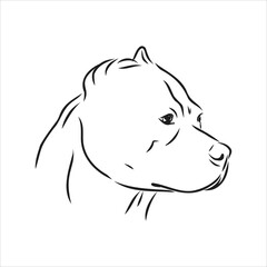 Vector sketch drawing pitbull barking pit bull terrier dog vector