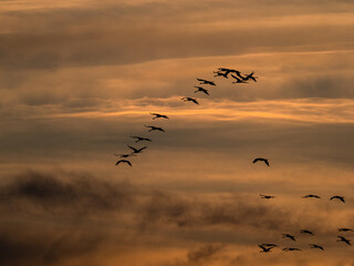 Sonnenuntergang