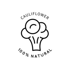 Line Icon Cauliflower In Simple Style. Vector sign in a simple style isolated on a white background. Original size 64x64 pixels.